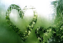 开云体育官网-维也纳雄鹰啄伤天蓝军团！奥地利绝杀晋级引爆欧洲足坛