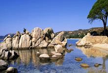 开云体育入口-河床主场气氛火爆，球迷助威成强大后盾