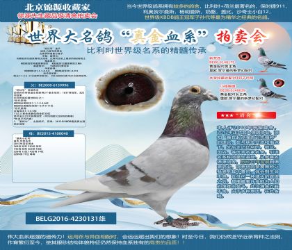 猛龙打破票德创纪录,取得惊人胜利的简单介绍 猛龙打破票德创纪录,取得惊人胜利的简单介绍