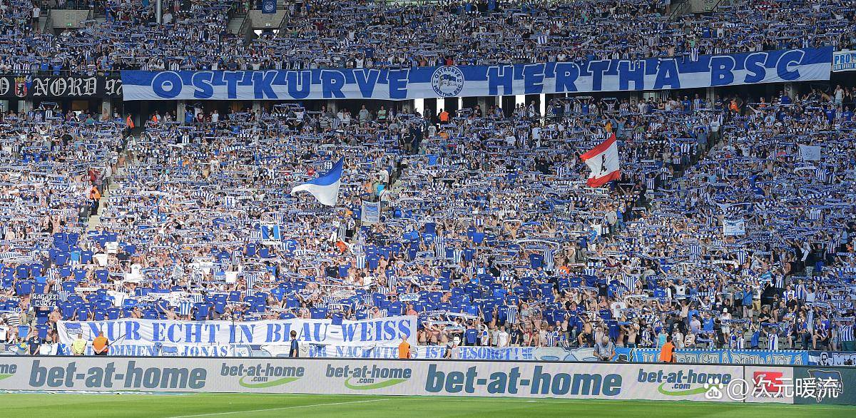 开云体育平台APP-那不勒斯主场发挥欠佳，被对手逆转的简单介绍