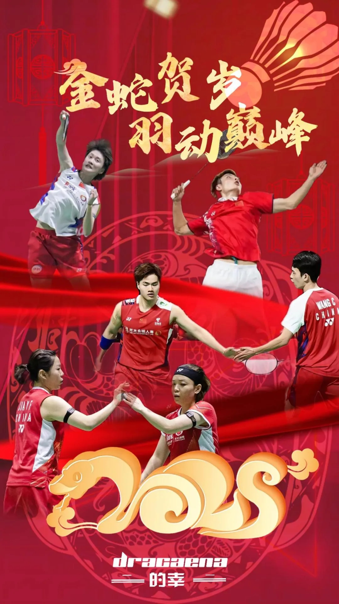 开云体育官网-中国羽毛球队力克印度羽毛球队，李宗伟送出助攻的简单介绍