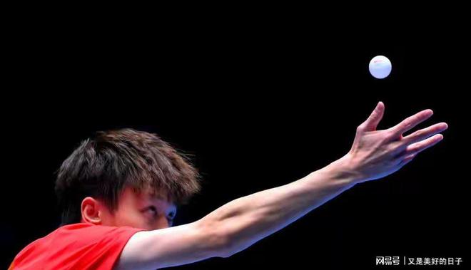 中国队完胜波兰队，林高远带队取胜