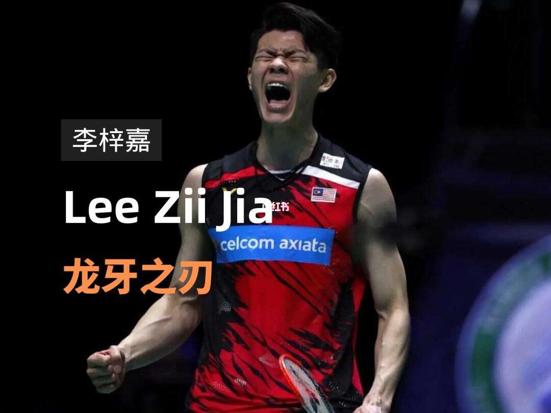 开云下载-德国队逆转丹麦队，李梓嘉统治全场