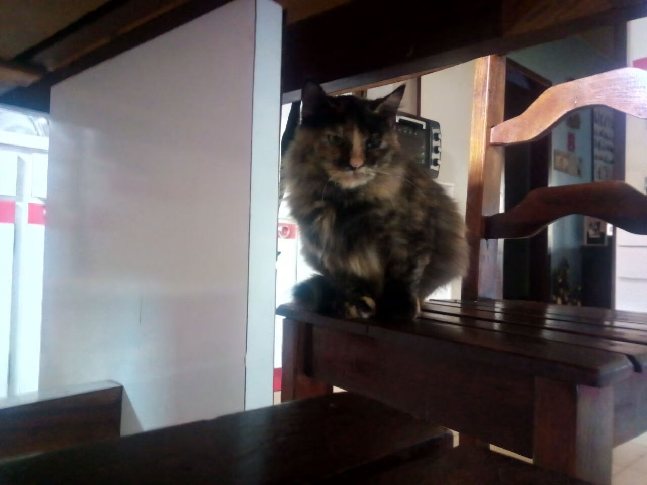 迪亚斯闪耀全场助韩国爆冷击败比利时,亚洲之光再创奇迹