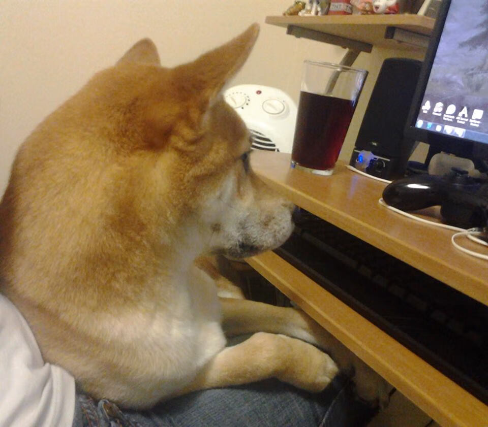 暗流中的主宰者，年度焦点之战，坎特如何统治了无形战场