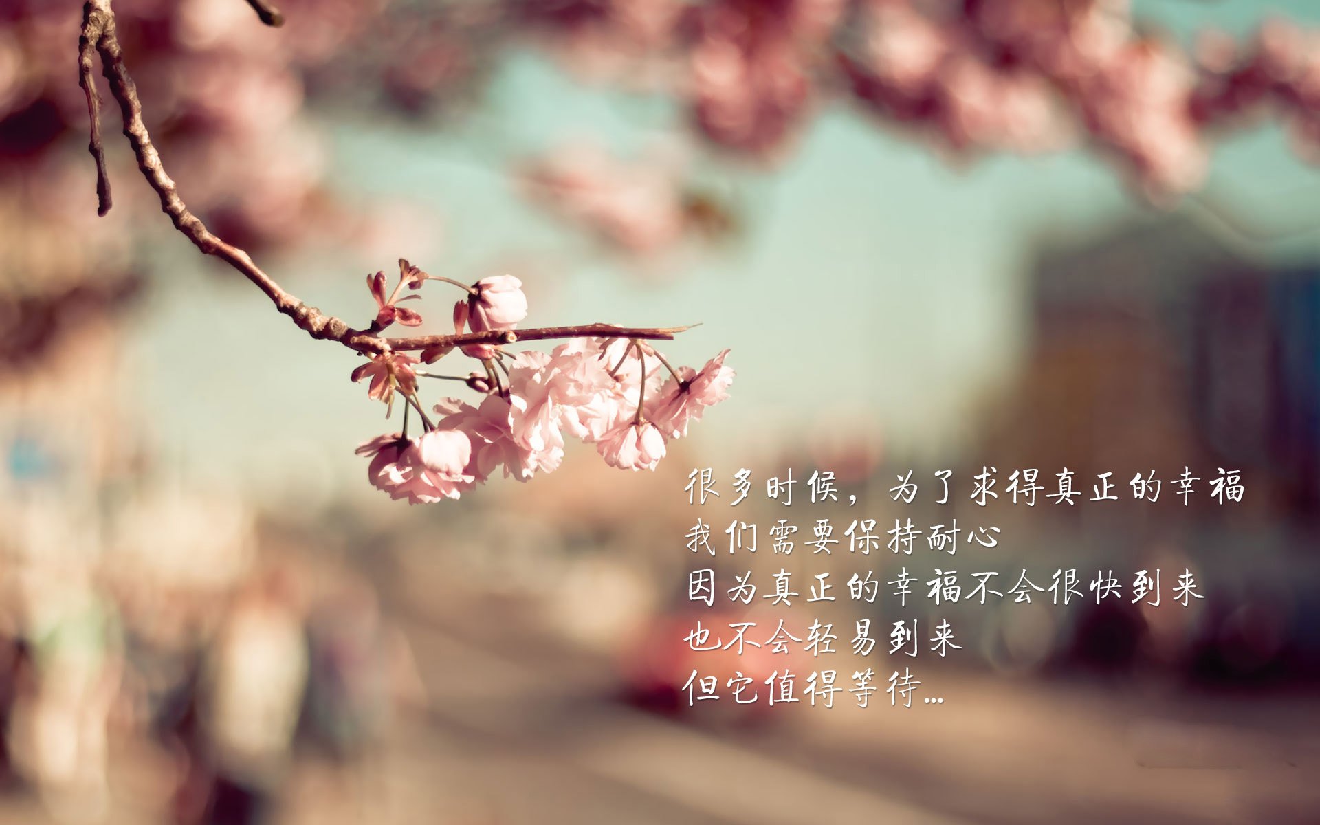 2026世界杯焦点战,勇士王朝的全球盛宴,雷霆青春风暴遭碾压