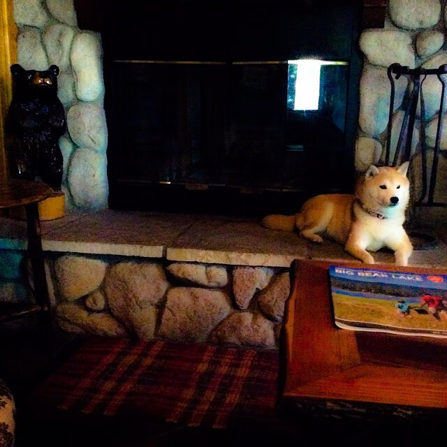 开云体育登录-东方智慧吞没西方巨浪，当欧文带动全队节奏，北京队以整体篮球全面压制独行侠