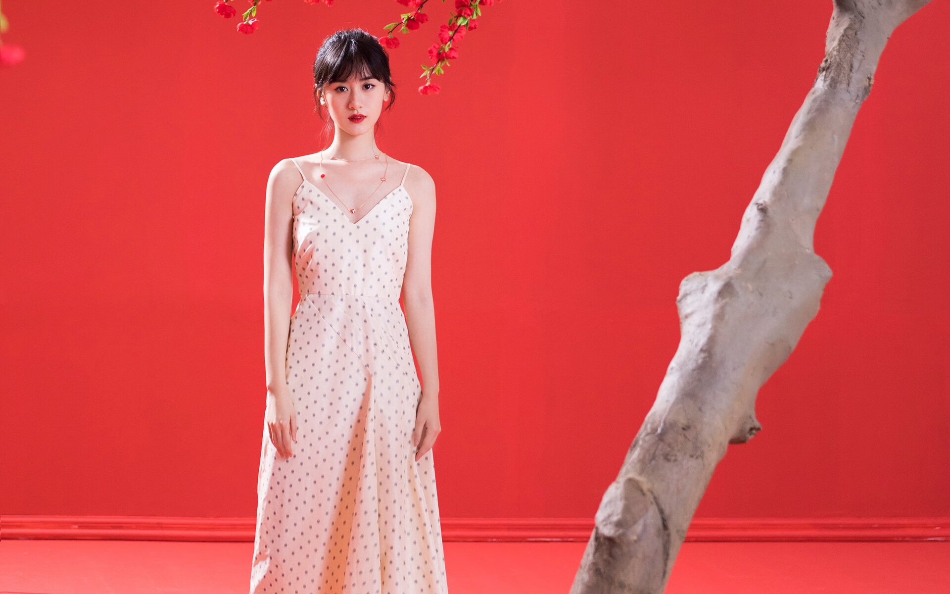 戈贝尔连续得分拉开差距,猛龙主场力克鹈鹕