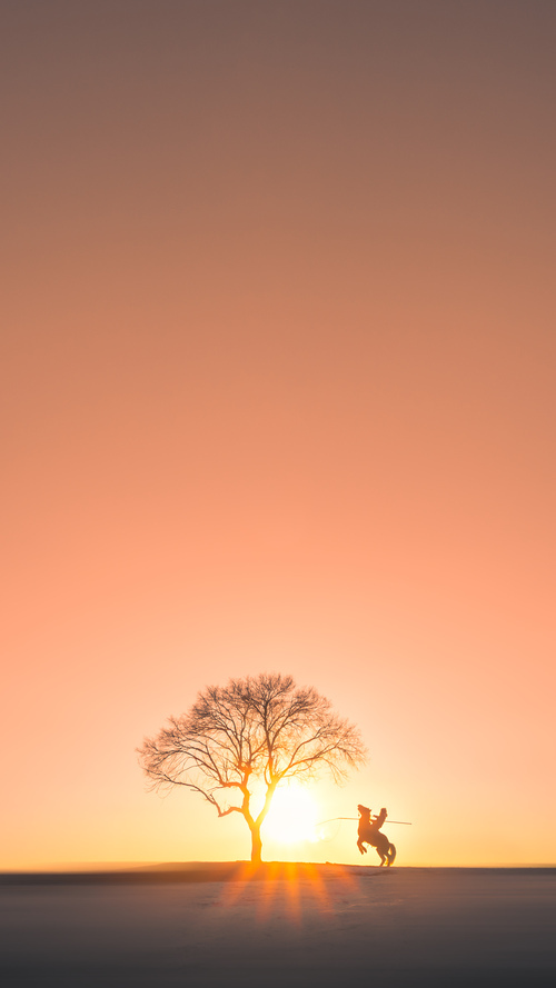 开云体育平台APP-绝境长城！戈贝尔擎天防守主导加时鏖战，篮网惊险过关