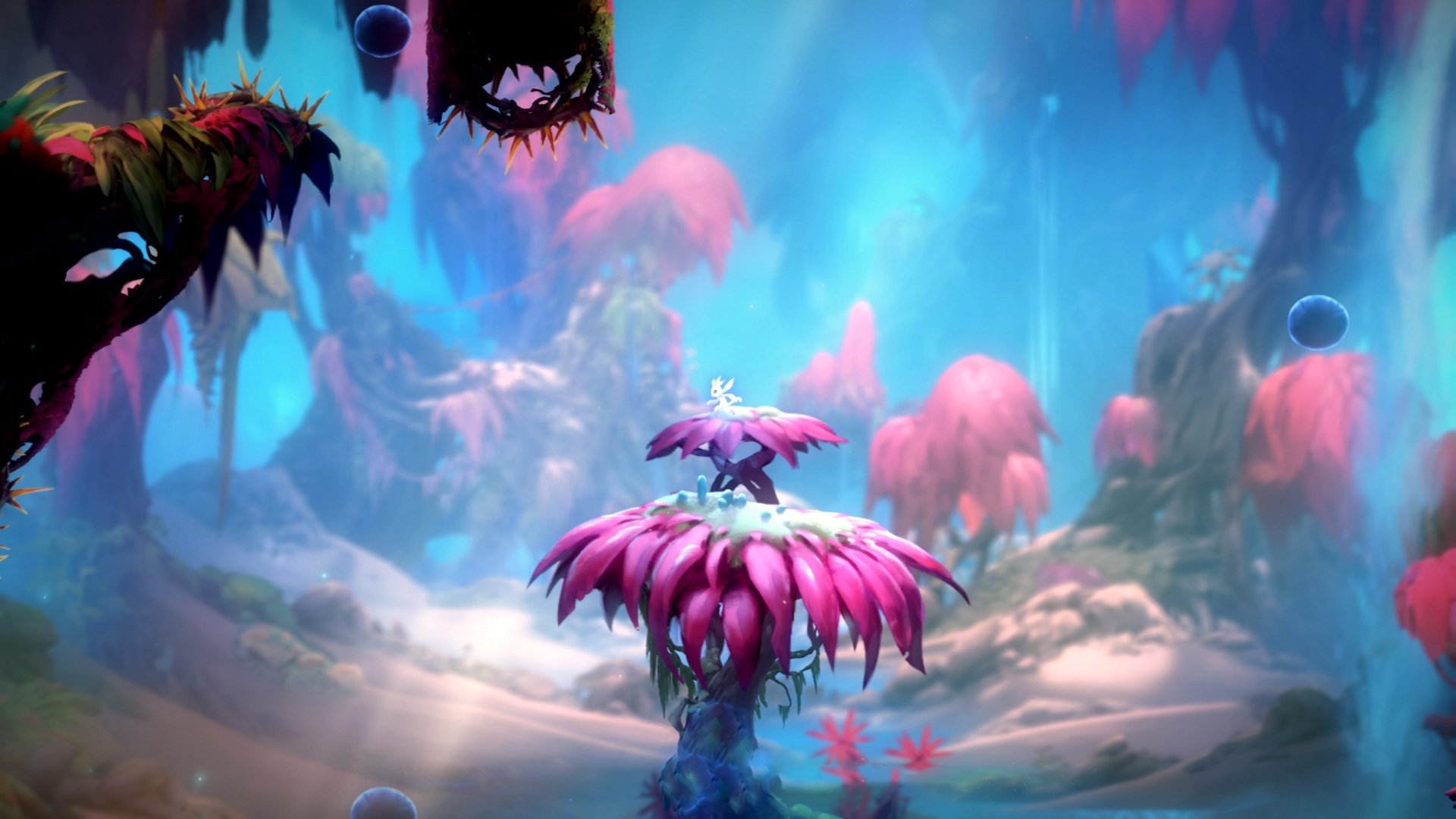 黄蜂新王当立,拉梅洛·鲍尔一役封神,导演惊天逆转踏平雷霆!