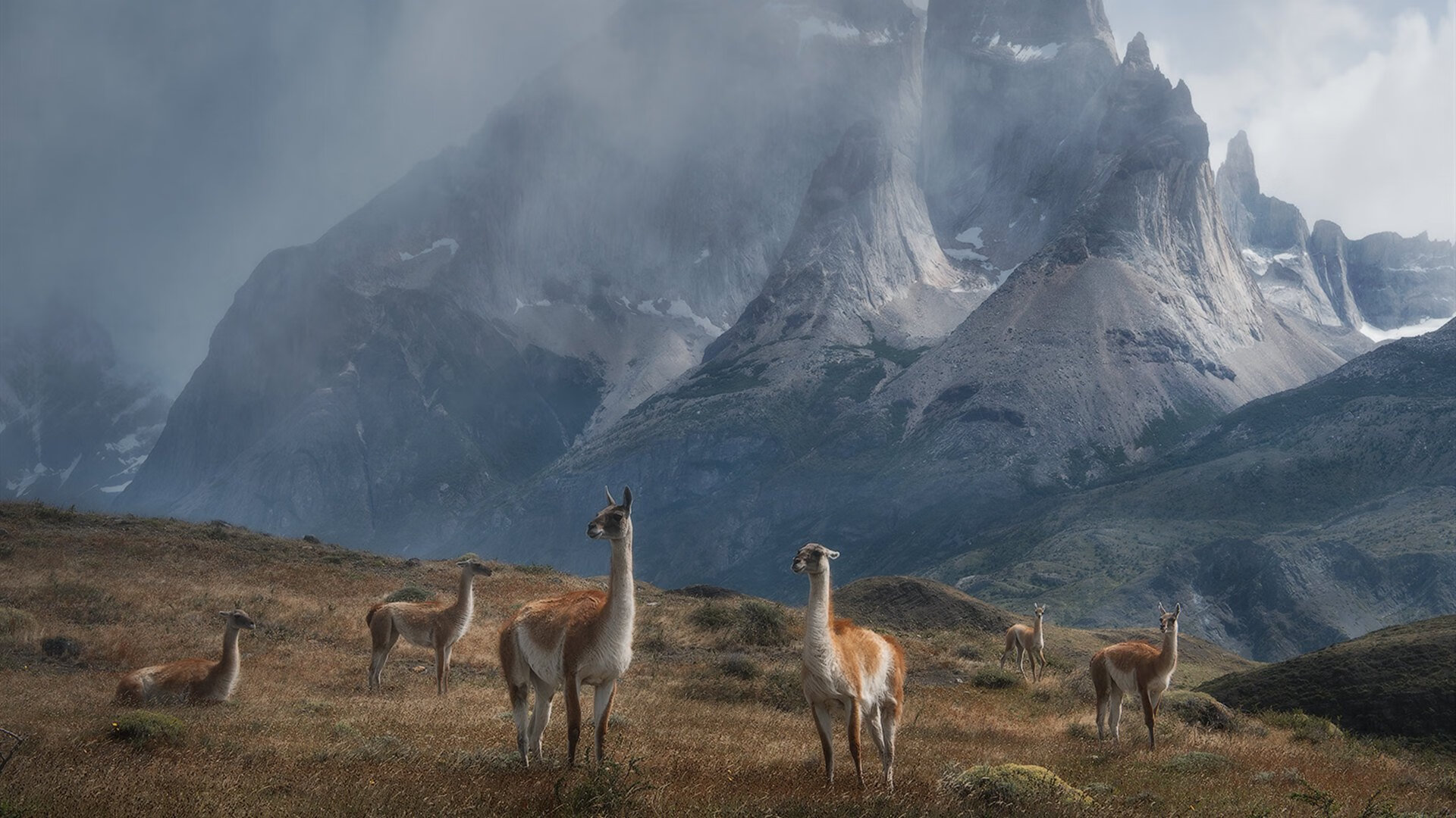 开云体育官方网站-最后一秒的星辰,2026世界杯之夜,杜兰特关键进球定乾坤